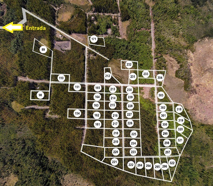Plano del proyecto